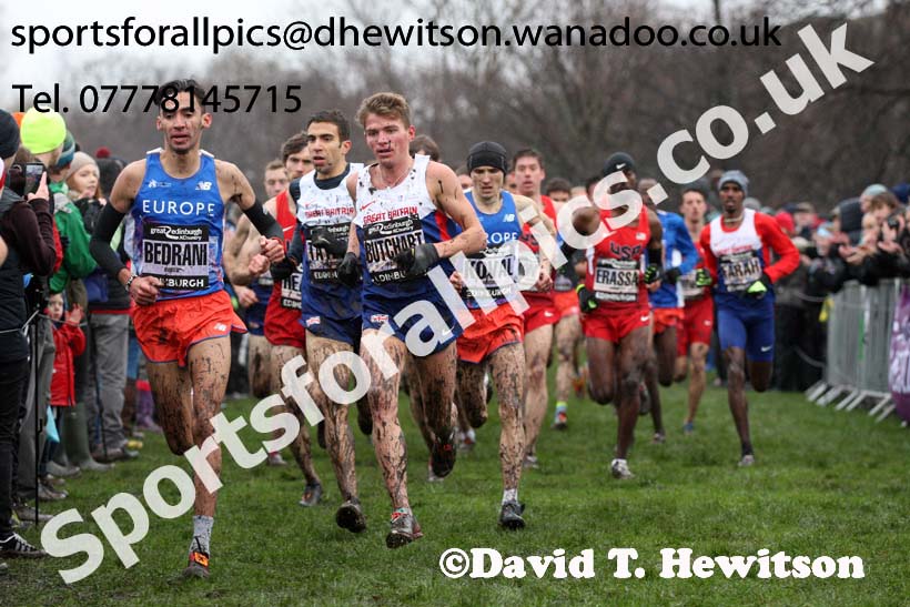 Senior mens Great Edinburgh Cross Country. Photo: David T. Hewitson/Sports for All Pics